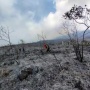 Alamak! Kabakaran Hutan di Lereng Gunung Arjuno Semakin Meluas
