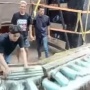 Viral Pagar Rumah Warga Dirobohkan Gegara Truk Sound System: Kesenangan yang Sementara