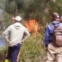 Hutan Gunung Lawu Terbakar, Lahan Seluas 9 Hektare Dilahap Si Jago Merah