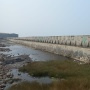 RI Bakal Punya Beton Hijau Tahan Ekstrem untuk Infrastruktur Pesisir