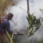 KATANYA: Apa Penyebab Indonesia Kebakaran Hutan dan Lahan? Ini Jawabannya