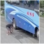 Bus Alami Rem Blong saat di Jalan Turun, Seorang Pria Langsung Beraksi Selamatkan Penumpang