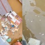 Pipet hingga Plastik Mengapung di Air Usai Dua Rumah di Kampung Beting Pontianak Roboh, Bekas Apa?