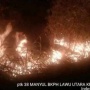 Kebakaran Hutan di Gunung Lawu, Petugas Sebut Fokus Pemadaman Berbeda Siang dan Malam