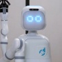 Garmi, Robot Hasil Inovasi Peneliti Jerman yang Bisa Merawat Lansia