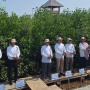Kolaborasi dengan Pemerintah, Bukit Asam (PTBA) Ikut Aksi Tanam Mangrove