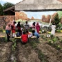 GMC Lakukan Sosialisasi Pentingnya Budi Daya Tanaman Toga Kepada Pemuda-Pemudi di Palu