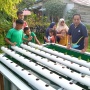 Pabrik AQUA Solok Kembangkan Bertani Sistem Akuaponik, Warga Bisa Panen Kangkung dan Ikan Berbarengan