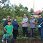 Kembangkan Sistem Aquaponik, Hasil Panen di Solok Makin Meningkat
