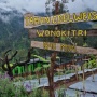 Desa Wisata Edelweiss Pasuruan Jadi yang Terbaik di ADWI 2023, Sudah Pernah ke Sana?