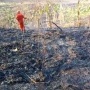 Peristiwa Kebakaran di Gunungkidul Melonjak Dalam Dua Bulan, Kerugian Capai Rp2,4 Miliar