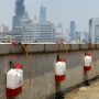 Polusi Udara Kian Memburuk, Sumber Utamanya Bakal Dicari