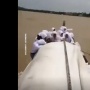 Detik-detik Pelajar di Karimun Naik Perahu Saat Angin Kencang tanpa Life Jacket