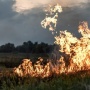 9 Cara Mengatasi Kebakaran Lahan, Jangan Buat Api Unggun Sembarangan Apalagi Flare!