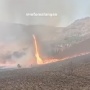Ngeri! Muncul Tornado Api di Kawasan Savana Bromo