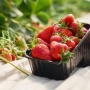 4 Macam Buah untuk Facial Wajah agar Tampak Awet Muda dan Cerah Bercahaya