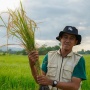 Laporan Dampak Pandawa Agri 2023 Dorong Transformasi Pertanian Berketahanan Iklim