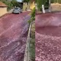 Detik-detik Jalanan di Portugal Dibanjiri 2 Juta Liter Lebih Wine