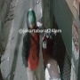 Terekam CCTV, Maling Motor Berhelm Ojol Beraksi Pagi Buta di Gang Tambora