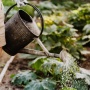4 Manfaat Menakjubkan dari Hobi Berkebun, Emang Boleh Sekeren Ini?