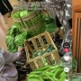 Agak Lain, Pengantin Ini Bagikan Suvenir Aneka Sayur di Pernikahan Mereka