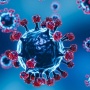Heboh Kemunculan Virus Nipah di Kerala India, Lebih Bahaya dari Covid-19
