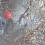 Padang Sabana Alun-alun Suryakencana Gunung Gede Terbakar, Tim Gabungan Pemadaman Diturunkan
