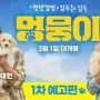 4 Drama dan Film Korea yang Pantang Dilewatkan oleh Para Pecinta Hewan!