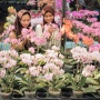 Melihat Ragam Flora dan Fauna di Pameran Flona 2023
