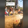 Kekeringan Makin Parah, Video Warga Blora Antri di Mata Air Bikin Prihatin