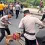 Ditonton 1 Juta Kali, Viral Anjing Polisi Gigit Polisi: Ekspresi Komandan Disorot
