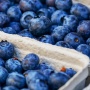 3 Alasan Makan Blueberry Tiap Hari Bisa Bikin Panjang Umur