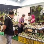Pecinta Tanaman Hias, Jangan Lewatkan FLOII Expo: Ada Tumbuhan Senilai Rp1,8 M!