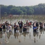Alasan Produsen Seafood DSFI Tanam 50 Pohon Mangrove: Dari Laut untuk Laut!