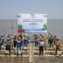 Dukung Ekosistem Karbon Biru, Pertamina Trans Kontinental Gelar Green Mangrove Action Program