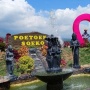 Intip Keasrian Rainbow Garden Poetoek Soeko, Taman Bunga Indah Penuh Warna