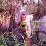 Kebakaran Hutan Gunung Lawu Meluas Mendekati Pos 5, Bupati Karanganyar: Hanya Allah yang Bisa Selesaikan