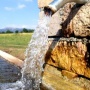 Dilanda Kemarau Ekstrem, Perlukah Sistem Rain Water Harvesting Diterapkan?