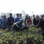 Momen Ganjar dan Siti Atikoh Jalan Pagi Sambil Berbincang dengan Petani Kebun Teh di Cianjur