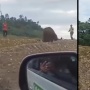 Momen Orang Utan Kebingungan dan Nyasar ke Kawasan Industri