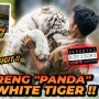 4 Rekomendasi Channel Youtube Indonesia Terkeren untuk Si Pecinta Hewan!