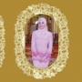 Potret dan Profil Anisha Rosnah, Calon Istri Pangeran Abdul Mateen dari Brunei Darussalam