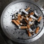 Jangan Langsung Dibuang, Berikut Manfaat Limbah Puntung Rokok bagi Tanaman