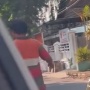 Viral Pengemis Minta Rp 5 Ribu Buat Beli Makan, Nggak Diberi Langsung Mengumpat