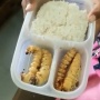 Viral Anak SD Bawa Bekal dengan Lauk Ulat Sagu, Gurunya Sampai Bilang Keterlauan