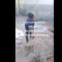 Tingkah Rauf Sehari Sebelum Dibunuh Ibu Kandung, Bocah 13 Tahun Rajin Bersih-bersih dan Suka Tidur di Atas Kandang Sapi