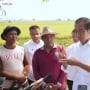 Reaksi Datar Jokowi Dengar SYL Dijemput Paksa KPK