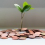 2 Tips Berinvestasi Aman Bagi Pemula, Buruan Dicoba!