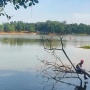 Situ Hambaro di Bekasi Alami Kekeringan Ini Penampakannya