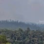 Gunung Lawu Masih Terbakar, Petugas Terus Berupaya Memadamkan Api